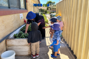 Children participating in a gardening activity with an educator at Jacaranda Childcare Centre High Wycombe, learning about plants through hands-on outdoor exploration.