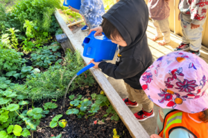Children participating in a nature-based gardening activity by watering plants at Jacaranda Childcare Centre High Wycombe.